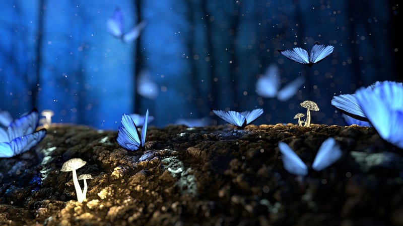 Enchanted Patterns